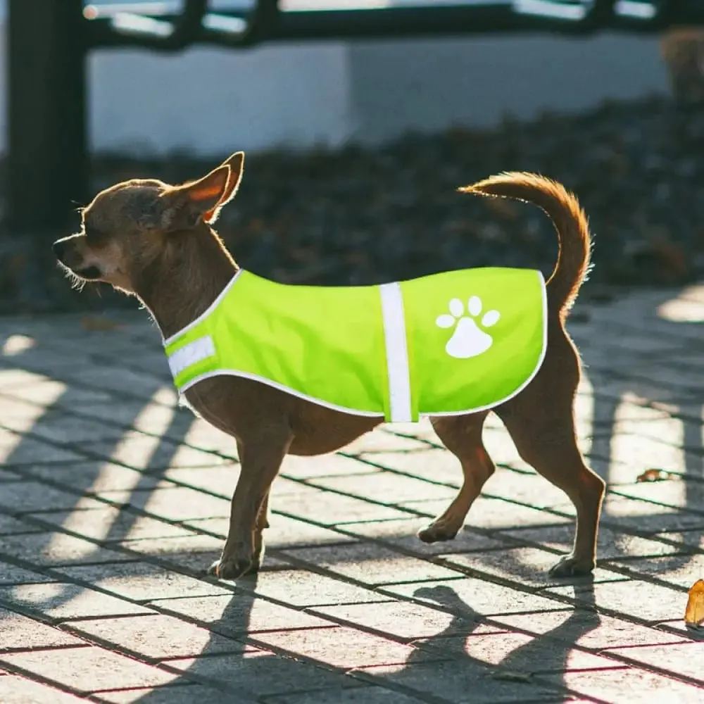 Adjustable Waterproof High Visibility Reflective Dog Vest to Protect your Puppy