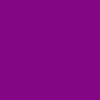 Axam Layering Turtleneck - Ribbed Pima Cotton :: Purple Jasper